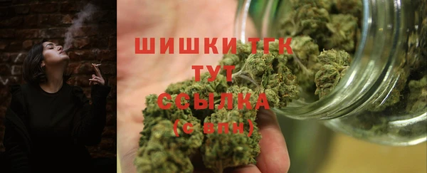 apvp Богданович