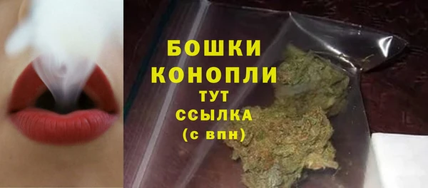 apvp Богданович