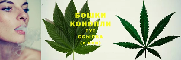 спайс Богородицк