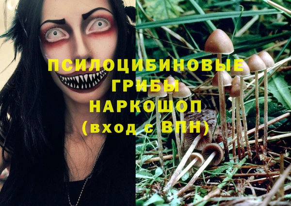 спайс Богородицк
