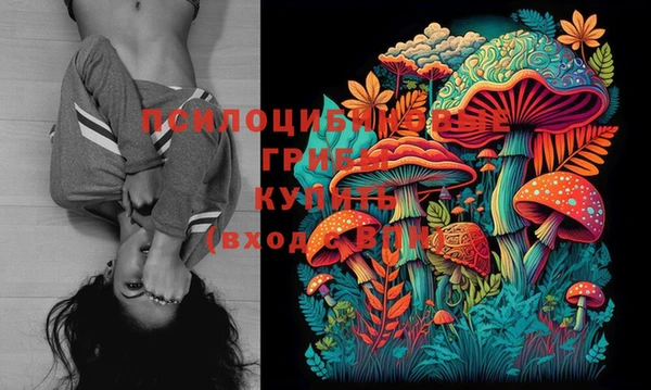 ПСИЛОЦИБИНОВЫЕ ГРИБЫ Белоозёрский