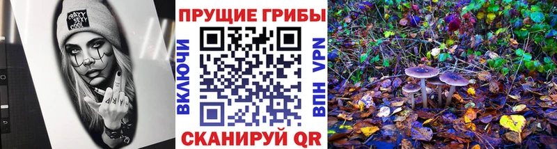 omg ONION  где купить наркоту  Светогорск  Галлюциногенные грибы MAGIC MUSHROOMS 